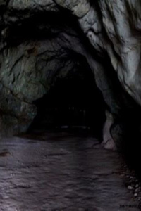 Stone Ascendant