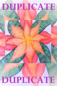 Duplicate!! (Complete)