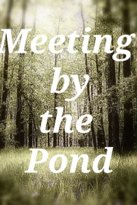 Meeting By The Pond