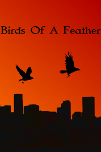 Birds of a Feather