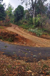 My little brother and my daddy