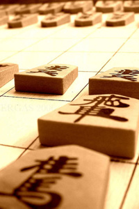 The Shogi game