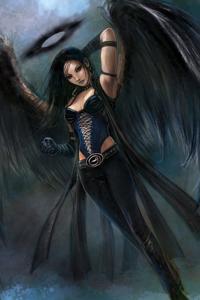 On Darkened Wings