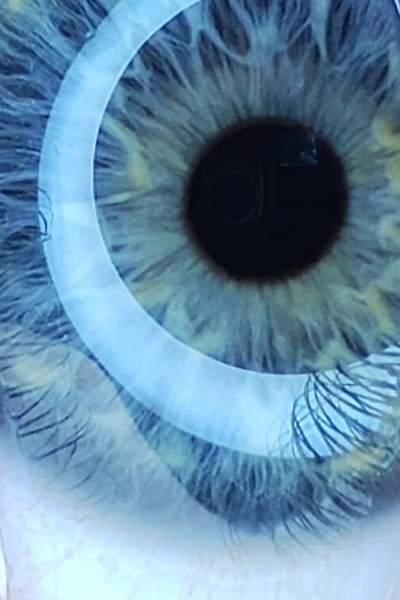 Just Mostly Psychopaths [Fighting Fascism With Mental Illness]