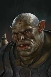 Cursed World (LitRPG Fantasy Adventure)