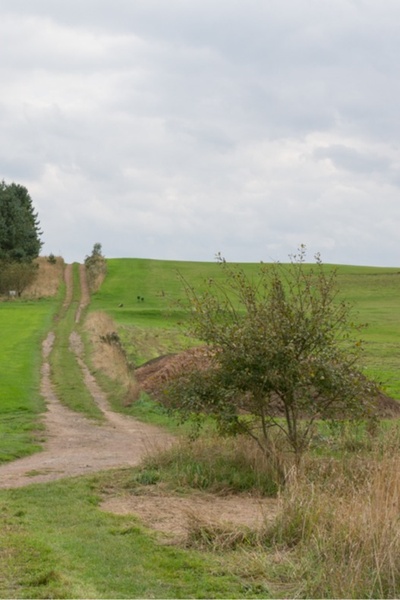 Roads Beyond Reason