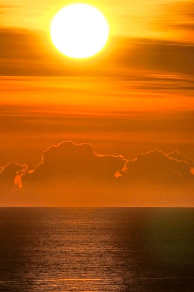 The Timeless Tayl - Two Hunters, Both Prey