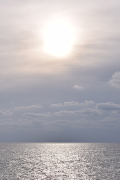 The Savior Sings in Women's World