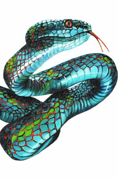 A Miraculous Journey With Thor And Hisstory - Zodiac Series